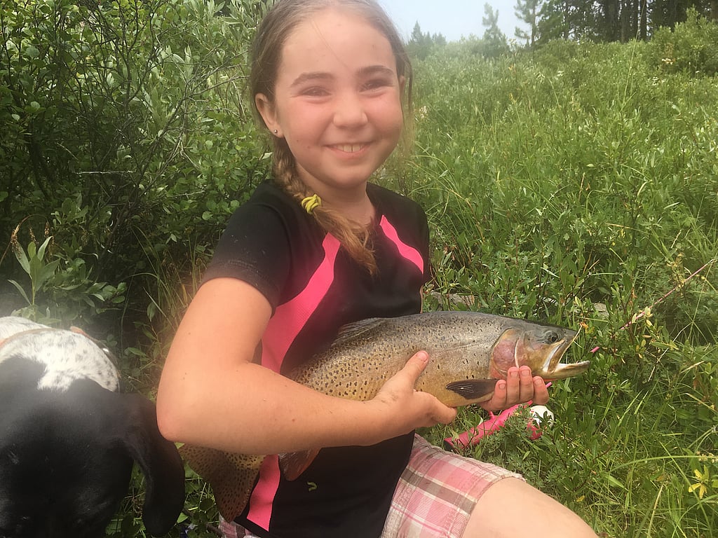 Guided cutthroat fishing trips in Yellowstone, Wyoming, and Shoshone forest camping areas