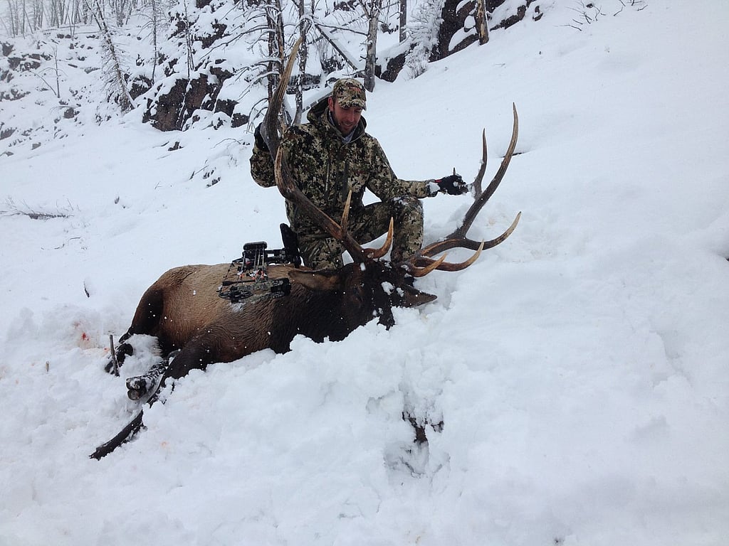 307 outfitters guided bow hunting trips in Shoshone National Forest