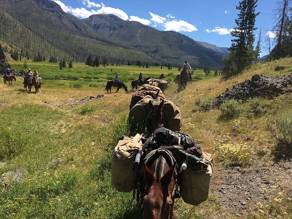 Pack string Bliss Creek Meadows South Fork of the Shoshone
