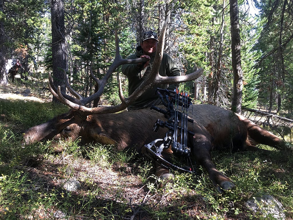 307 Outfitters unit 55 archery elk hunts2