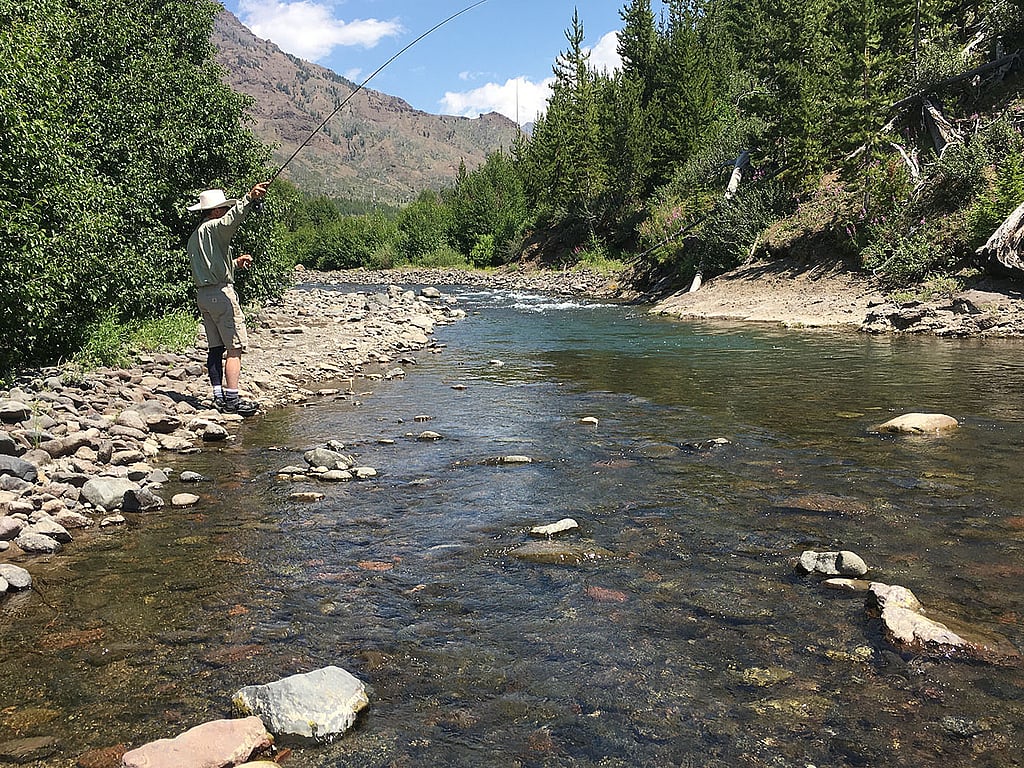 Fly fishing trips North Fork of the Shoshone