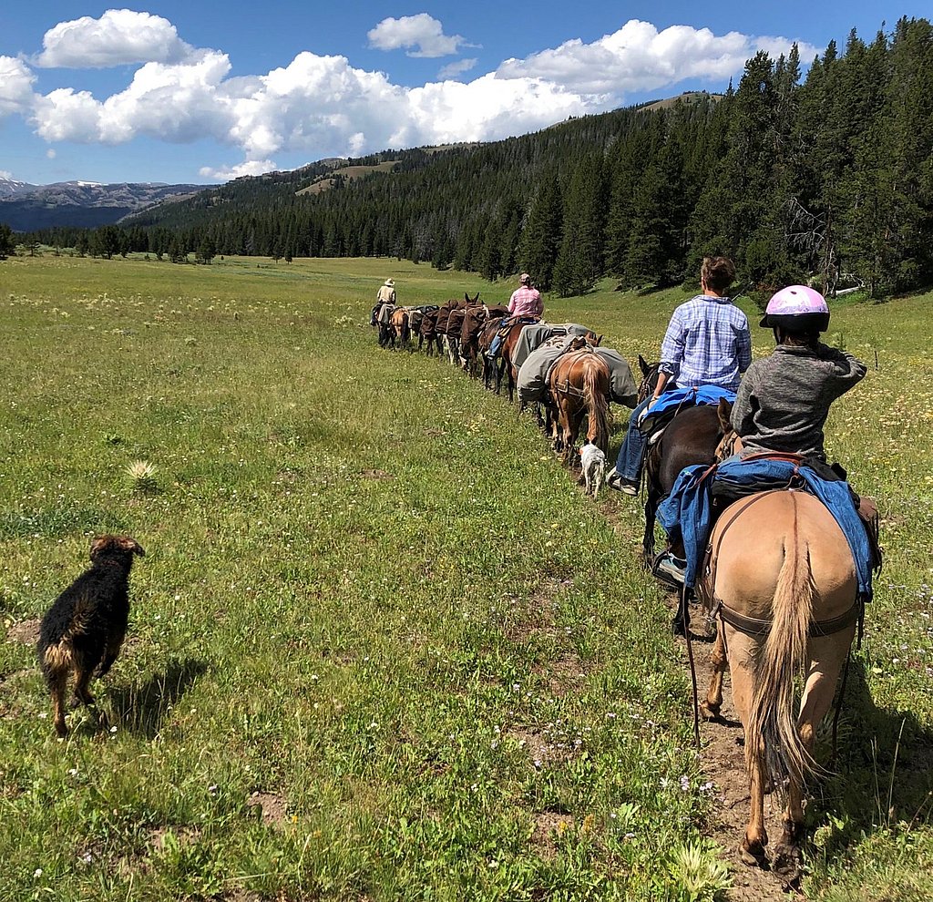 Summer pack trips in Wyoming with 307 Outfitters
