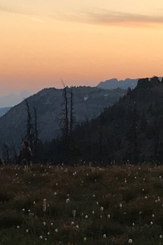 Pack and hunting trips in Shoshone Forest, Yellowstone Country