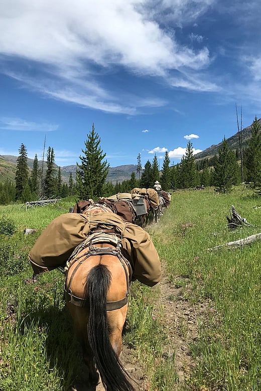 Packing in the North Fork of the Shoshone National Forest, Yellowstone Country Wyoming