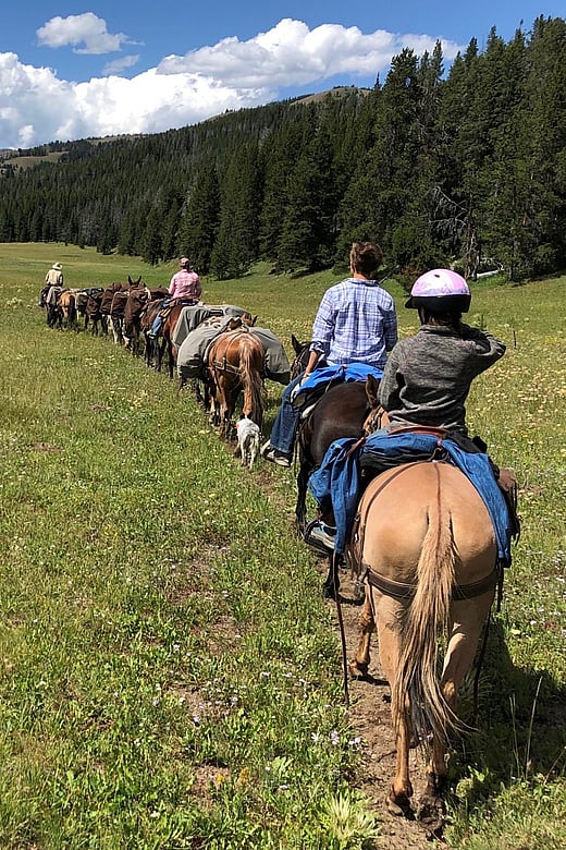 Summer pack trips in Wyoming with 307 Outfitters