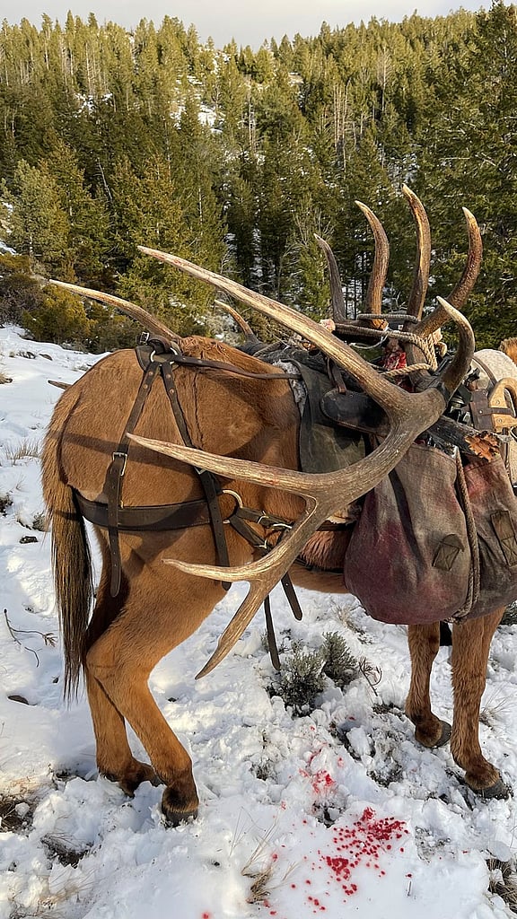 Wyoming #4 typical BC all time