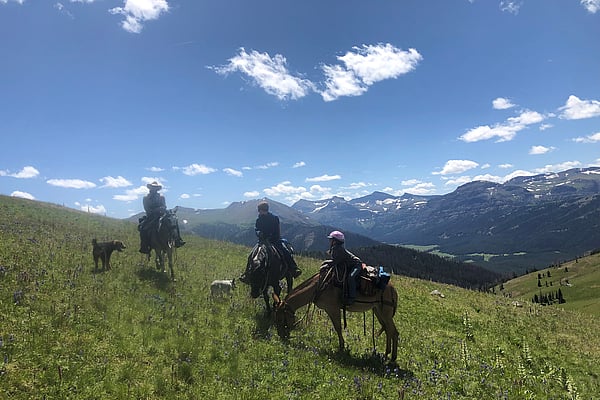 Family on a Wyoming Summer pack trip with 307 Outfitters of Cody, WY