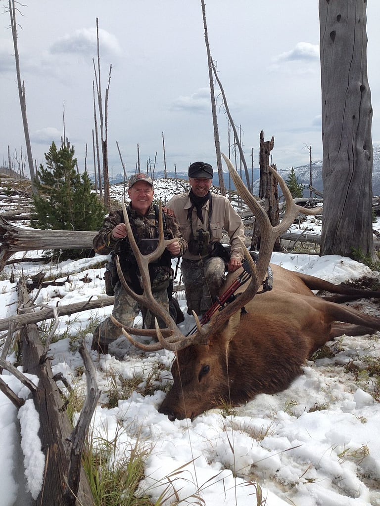 Trophy bull elk harvested in Shoshone national forest, Yellowstone Country Wyoming. Guided by Scott LaFevers of 307 Outfitters