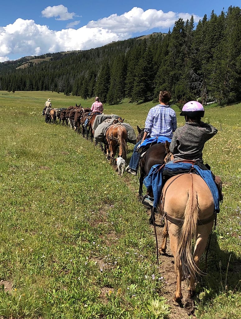 Cody Wyoming summer pack trips with 307 Outfitters