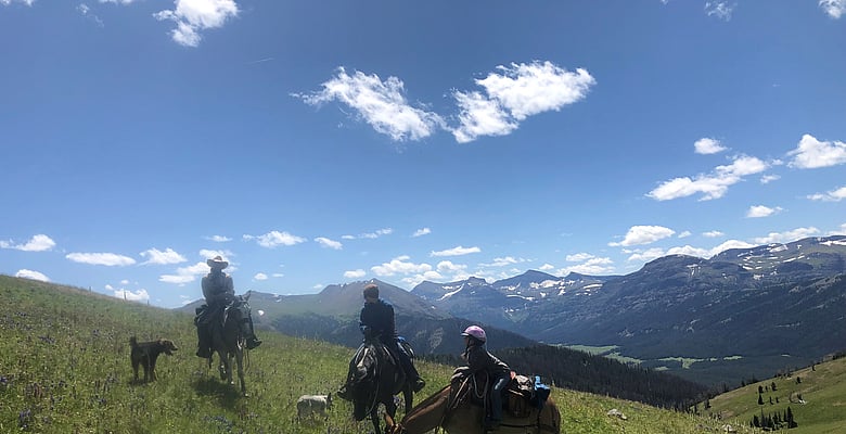 Family on a Wyoming Summer pack trip with 307 Outfitters of Cody, WY