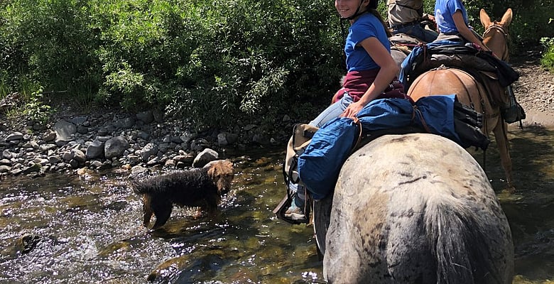 Guided horse pack trips in Yellowstone with 307 outfitters