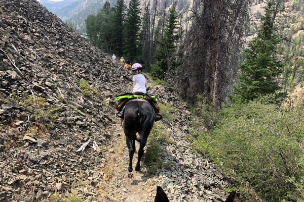 Guided pack trips for the entire family in Wyoming with camping and horseback riding