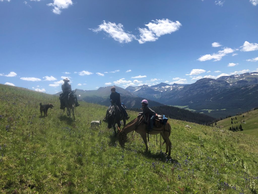 Scenic guided pack trip with Scott LaFevers and 307 outfitters in Wyoming and Yellowstone Country