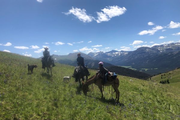 Family on a Wyoming Summer pack trip with 307 Outfitters of Cody, WY