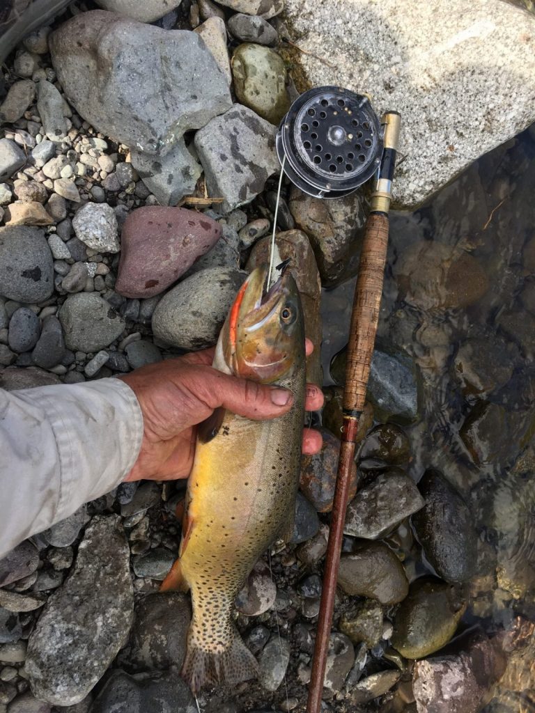 Yellowstone cutthroat trout. Fly fishing the South Fork