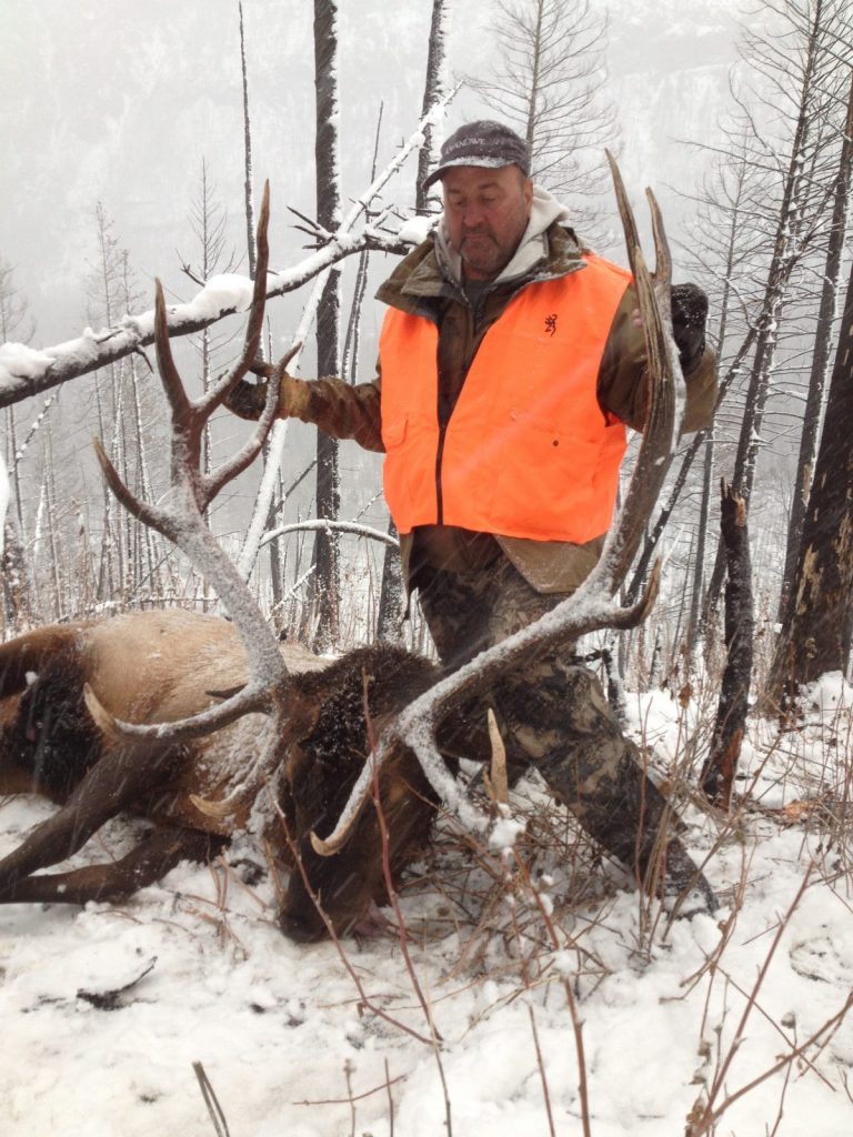 307 outfitters Cody Wyoming Trophy bull elk harvested in Yellowstone country