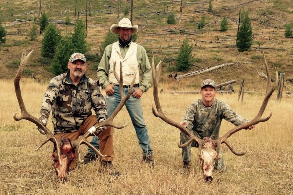 Archery elk hunting in Wyoming with 307 outfitters