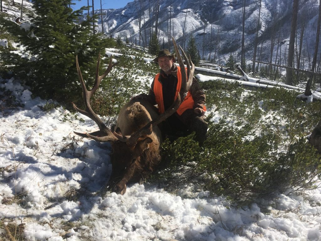 Large bull elk harvested in Wyoming on guided pack trip with 307 outfitters