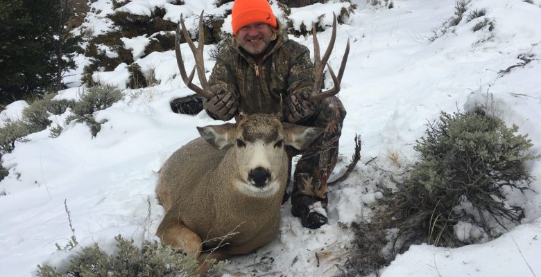 Monster mule deer from Wyoming creating a lifetime hunting experience in Yellowstone country