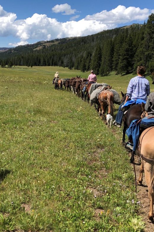 Summer pack trips in Wyoming with 307 Outfitters