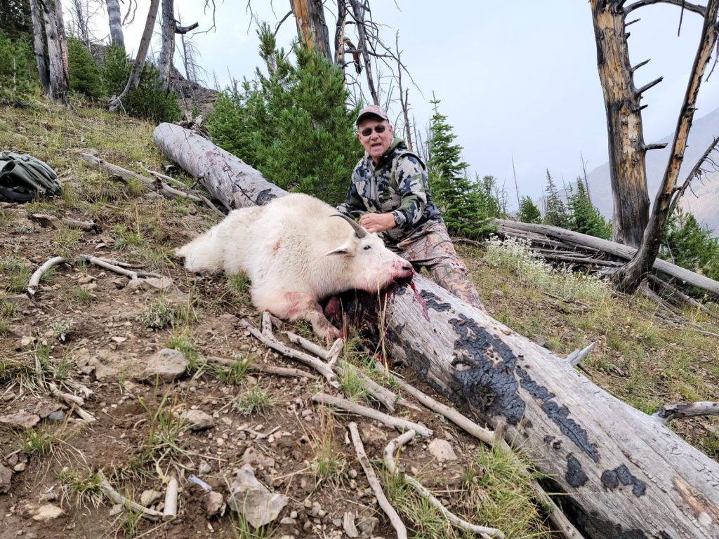 Wyoming Mountain goat area 3 type 2 outfitters